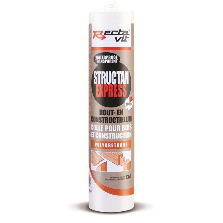 RECSTRUCTAN310