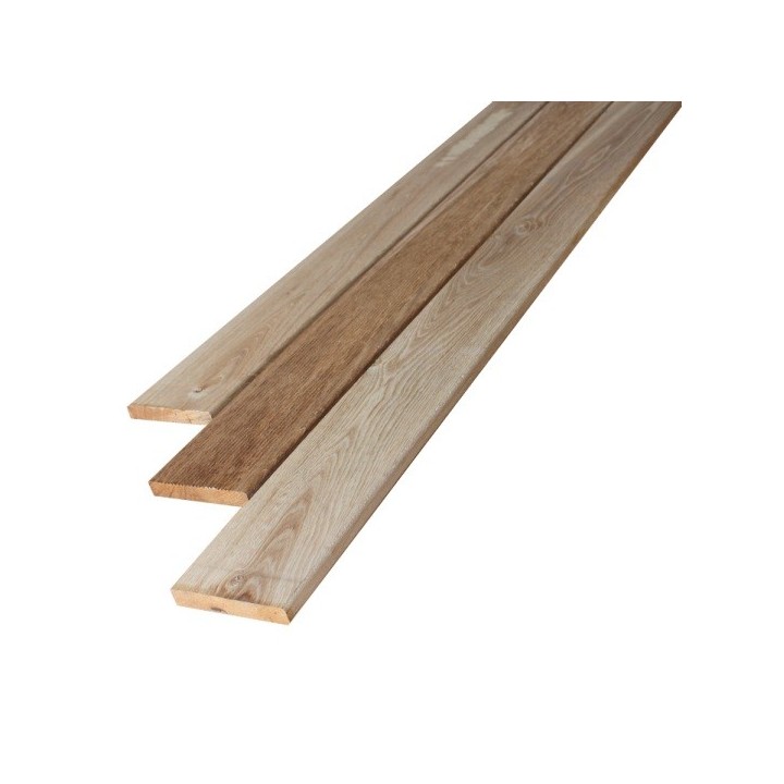 PLTERCH25140