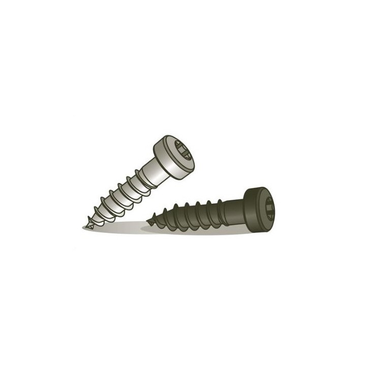 B-FIX 200 VIS SHORT 19 MM INOX