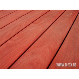 PLANCHER DE TERRASSE EN PADOUCK BFIX (21 x 142 MM) 