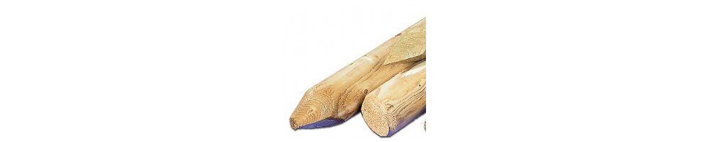 Sapin