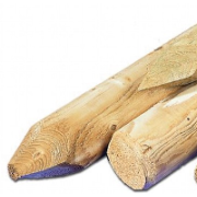 Sapin