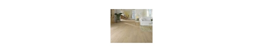 Parquet et plancher en bois 